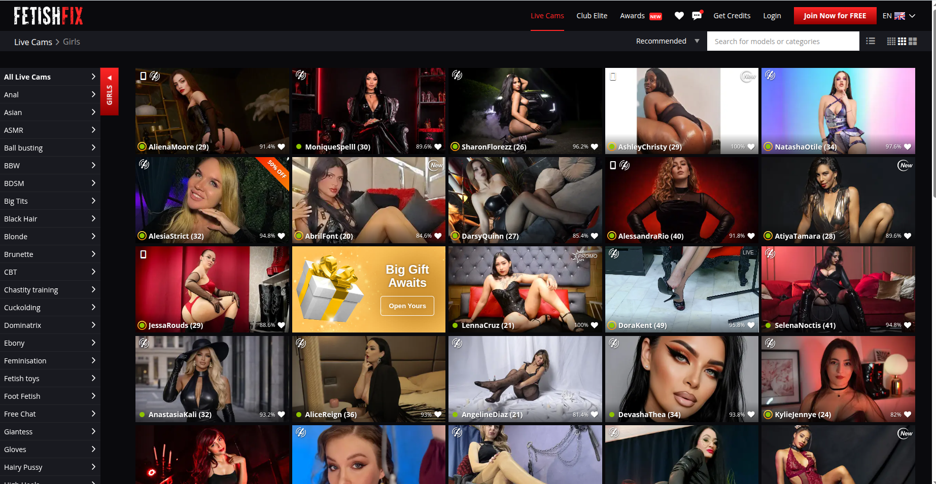 FetishFix live cam platform homepage preview